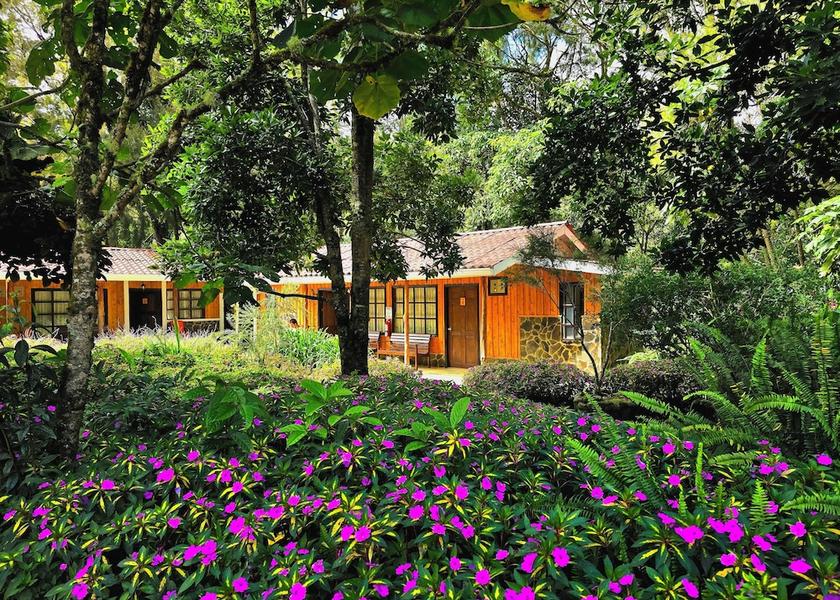 San José Province Copey Garden view