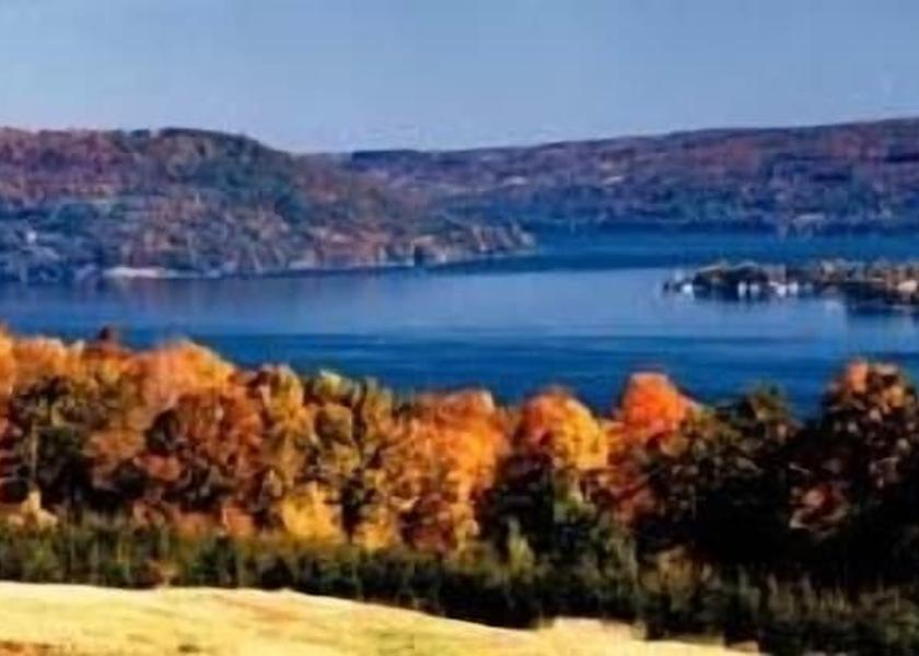 New York Hammondsport View from Property