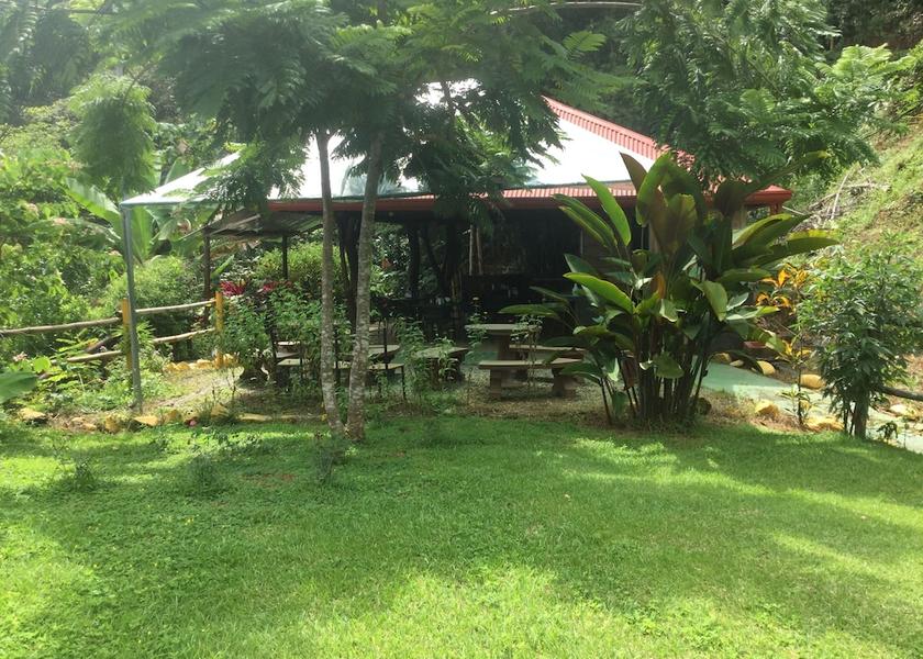 San Jose Ballena Restaurant