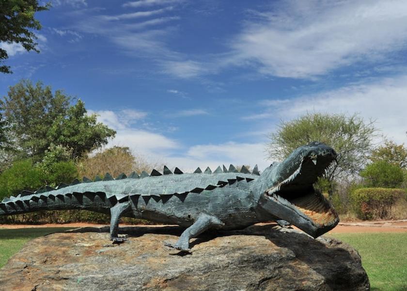  Selebi-Phikwe Property Grounds