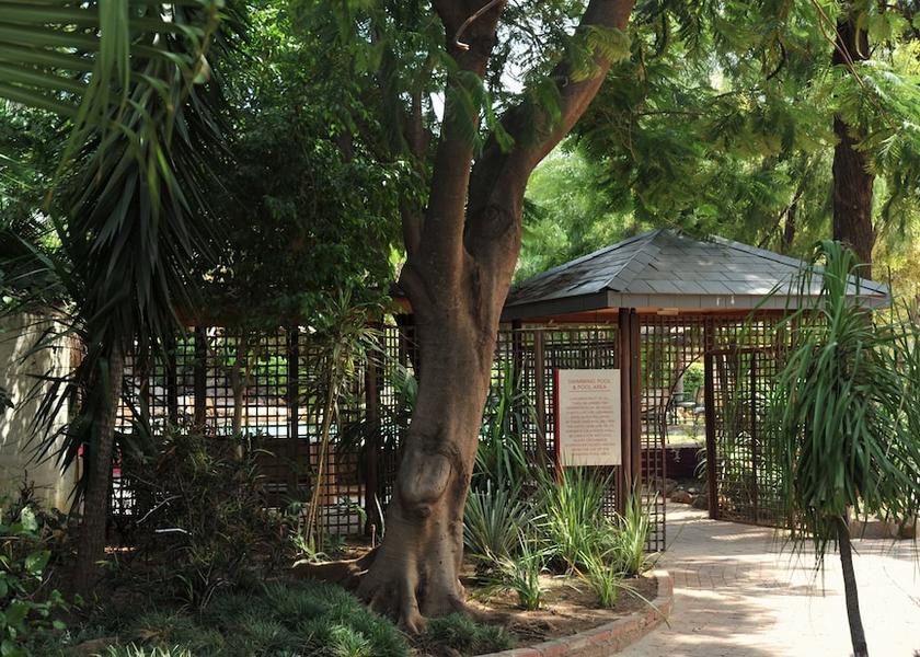  Francistown Property Grounds