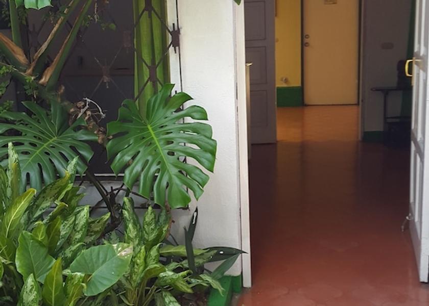 Managua (department) Managua Property Grounds