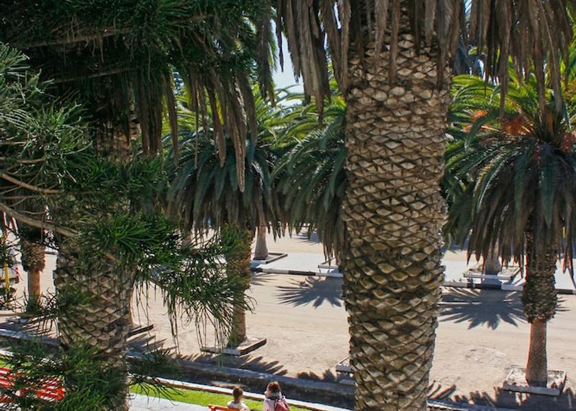Erongo Region Swakopmund Balcony view