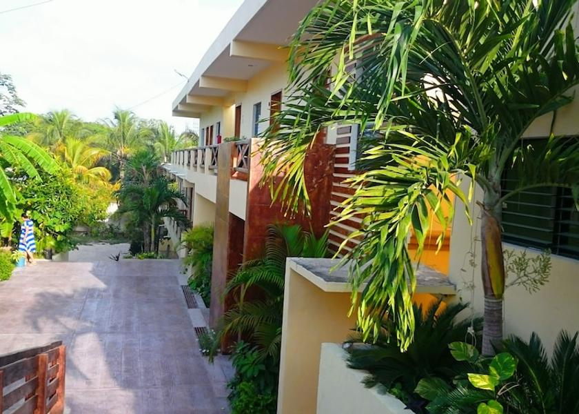 Campeche Calakmul View from Property