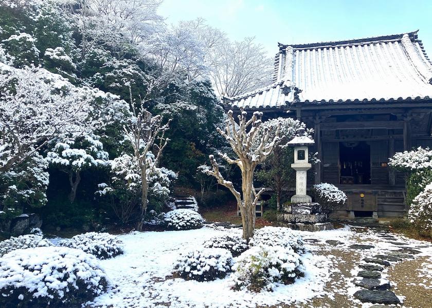 Nara Yoshino Primary image