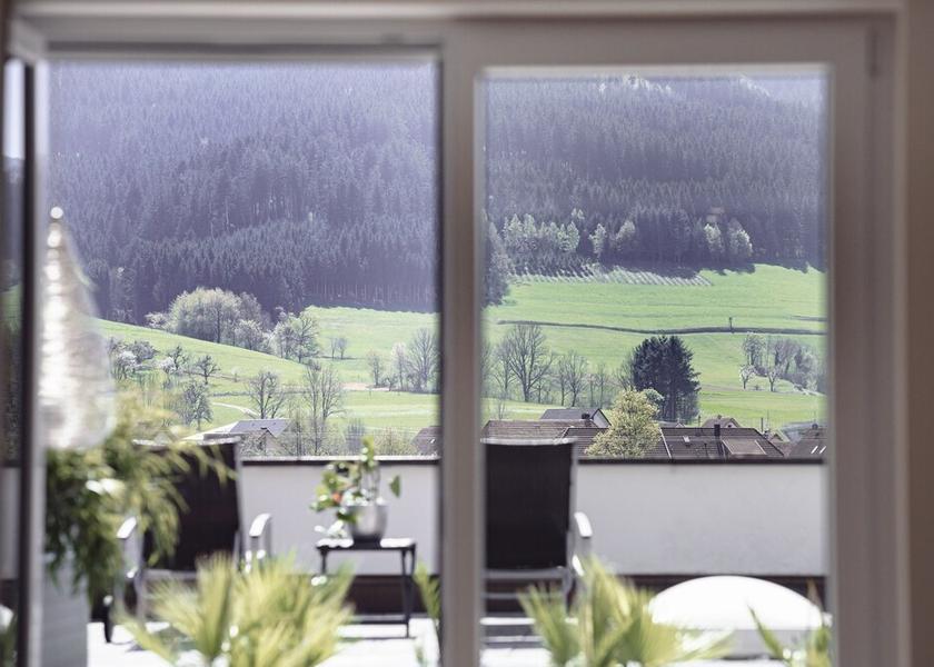 Baden-Württemberg Winden im Elztal View From Room