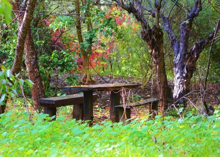 Western Australia Nannup View from Property