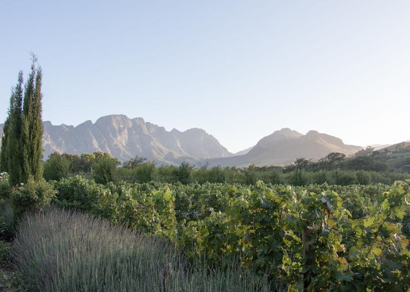 Western Cape Franschhoek View from Property