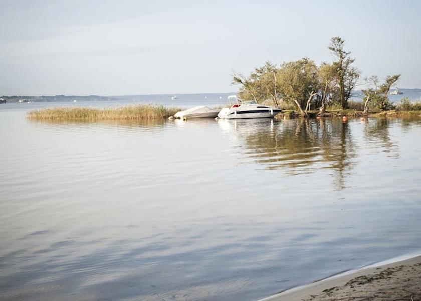 Nouvelle-Aquitaine Parentis-en-Born Lake