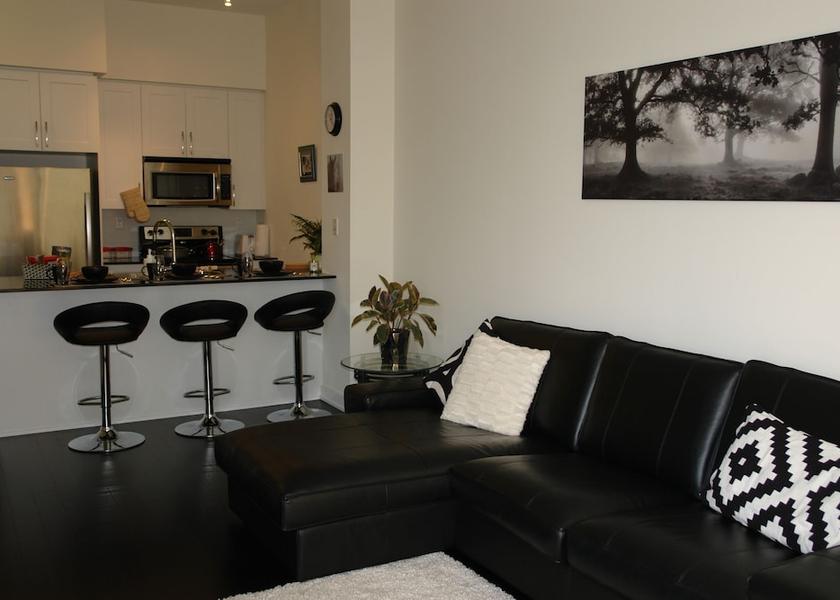 Ontario Mississauga Living Area