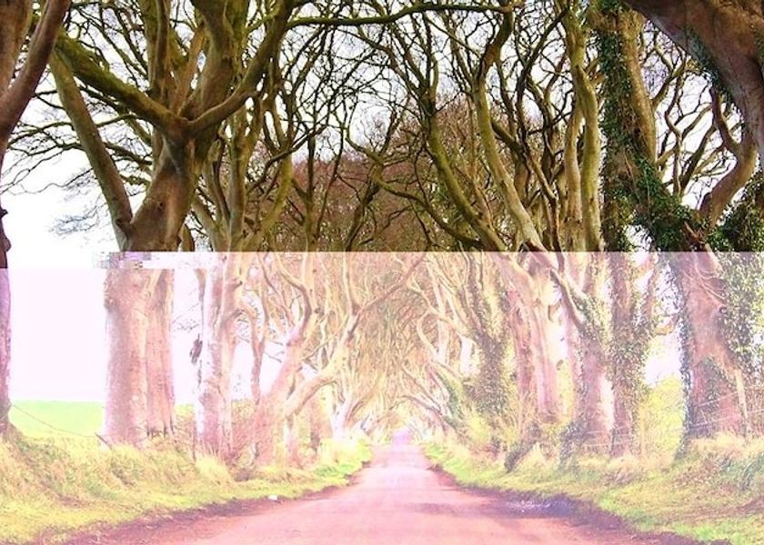 Northern Ireland Ballymoney Property Grounds