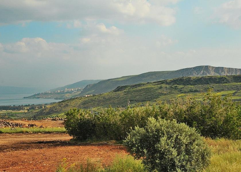  Livnim View from Property