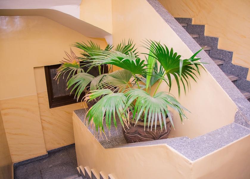 Giza Governorate Giza Staircase