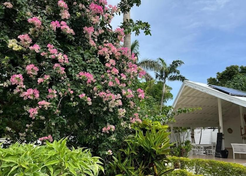 Shefa Port Vila Exterior