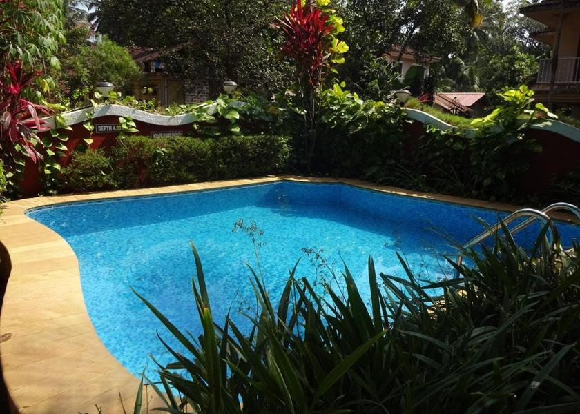 Goa Calangute Pool