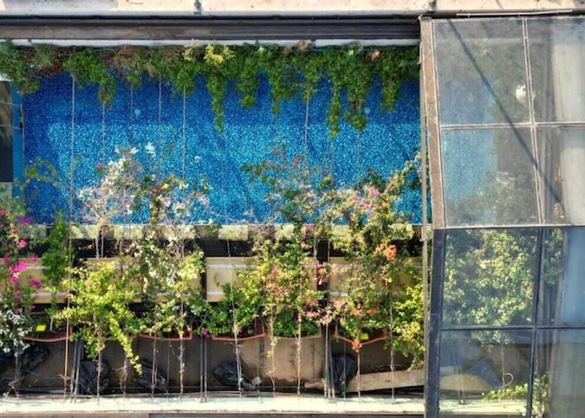  Beirut Pool