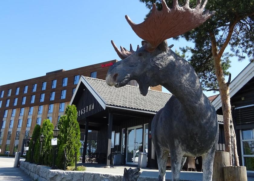 Hedmark (county) Elverum Exterior Detail