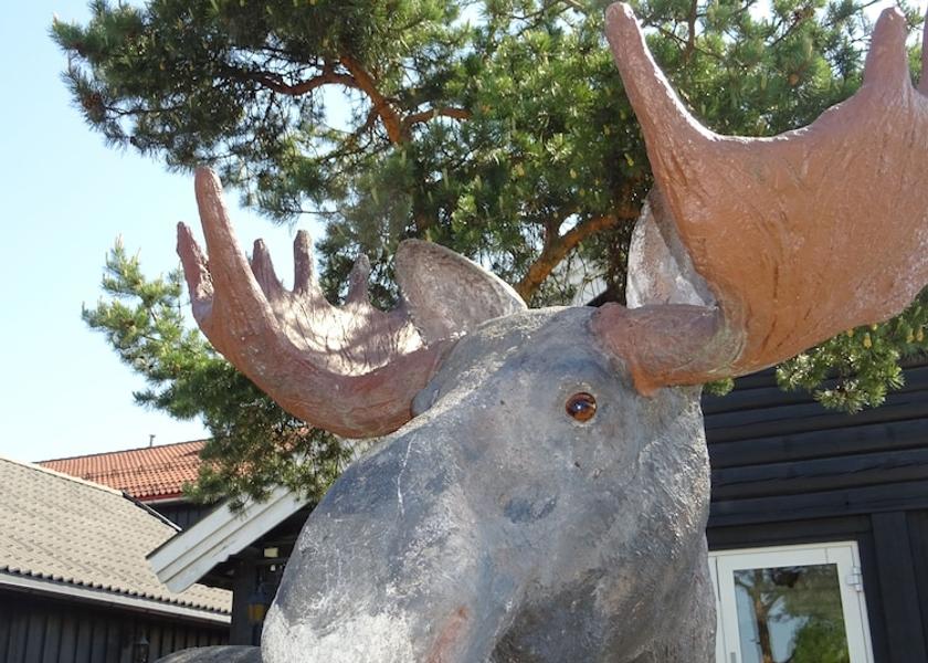 Hedmark (county) Elverum Exterior Detail