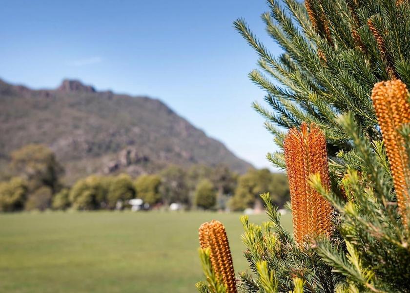 Victoria Halls Gap Property grounds