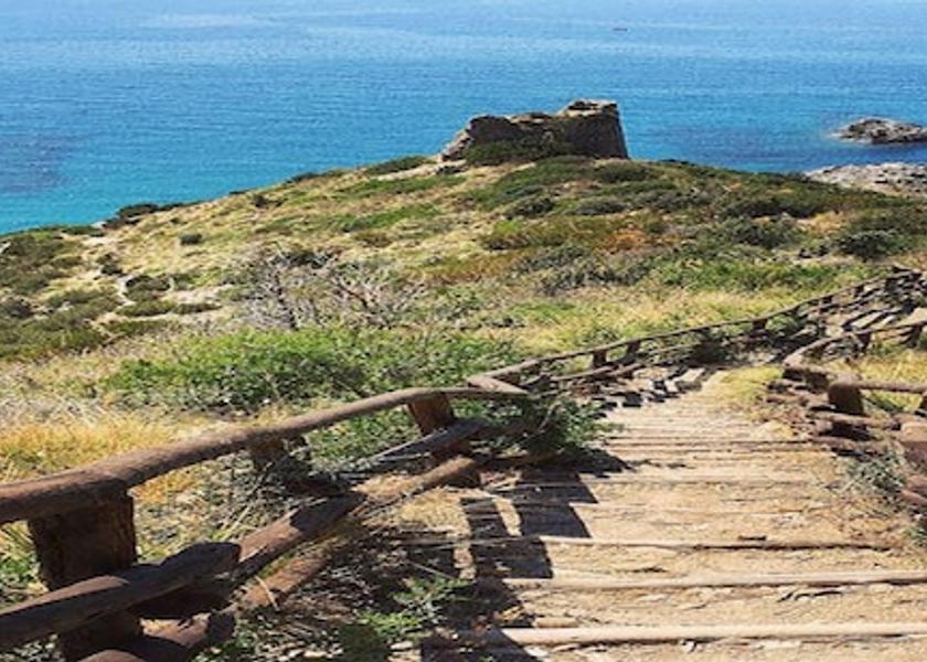 Campania Ascea Ecotours