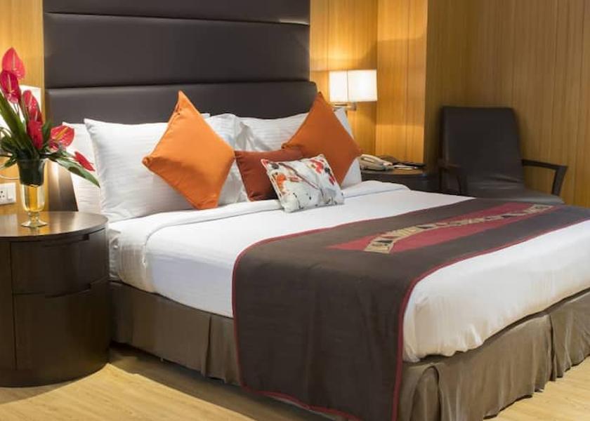 Delhi Delhi Superior Room