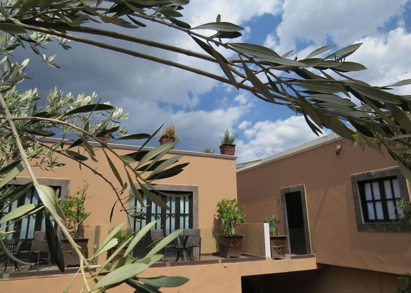Guanajuato San Miguel de Allende Terrace