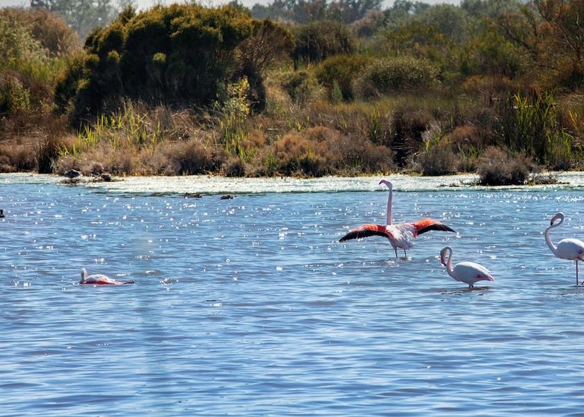 Provence - Alpes - Cote d'Azur Arles Exterior Detail