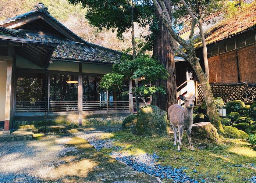 Nara Nara Property Grounds
