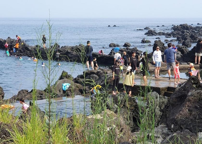 Jeju Seogwipo Exterior
