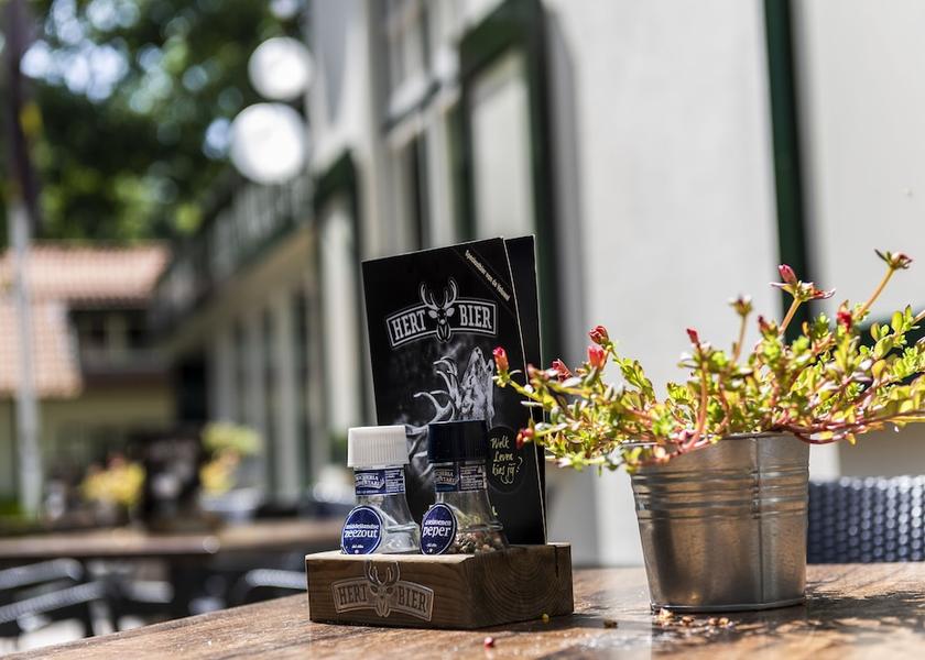 Gelderland Nunspeet Terrace