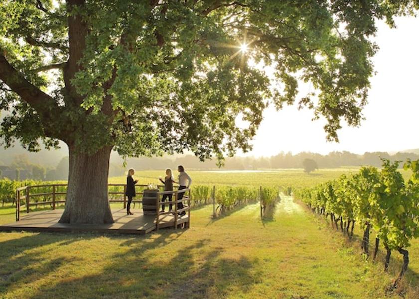 England Dorking Amenity