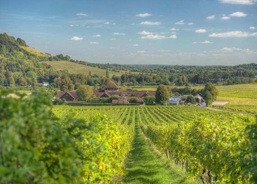 England Dorking Exterior Detail
