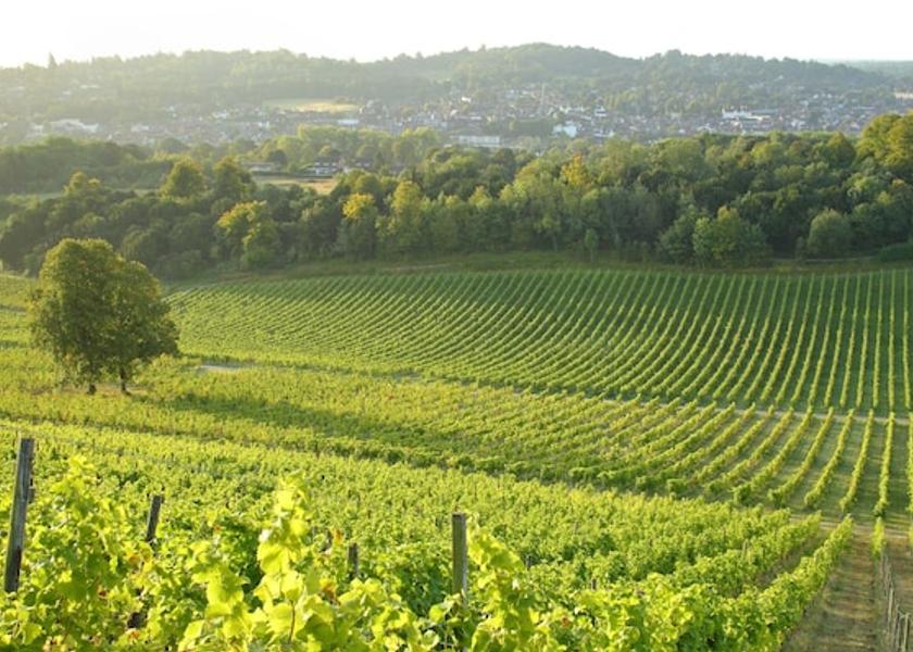 England Dorking View from Property