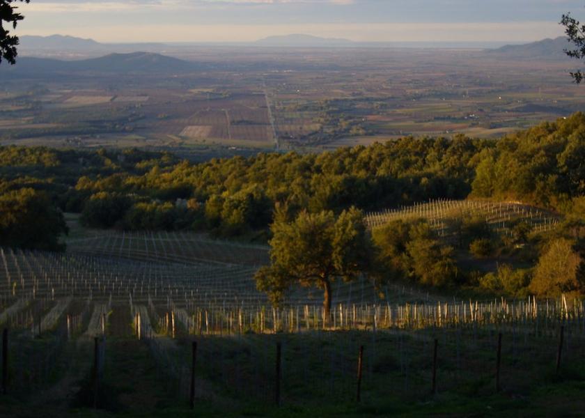 Tuscany Roccastrada View from Property