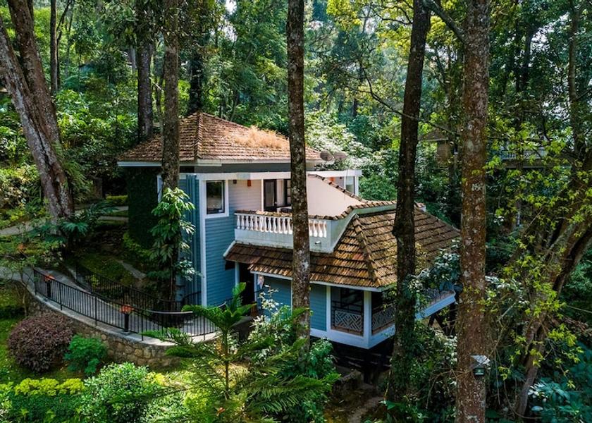 Kerala Munnar Primary image