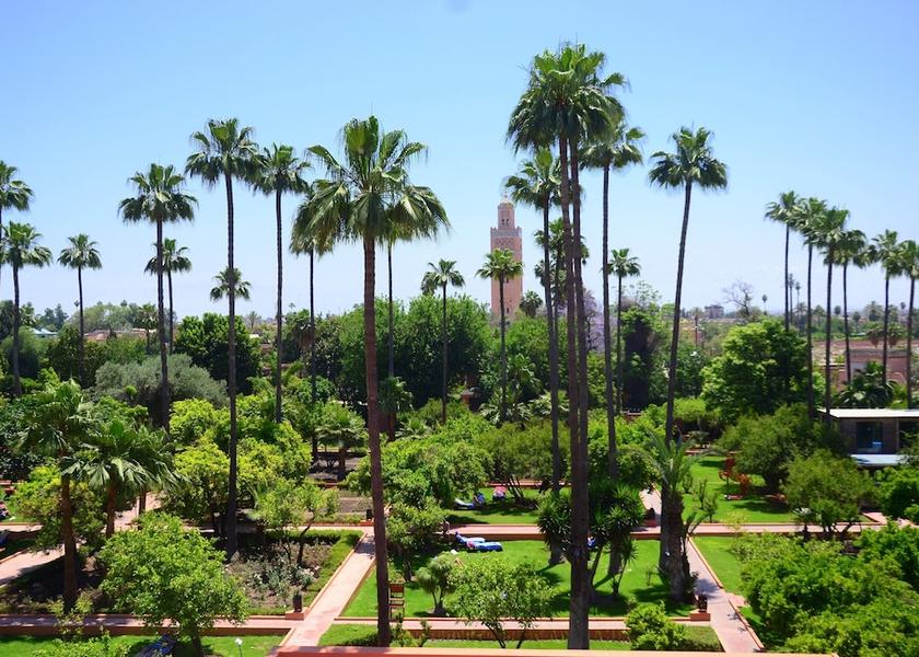 Marrakech-Safi Marrakech Garden