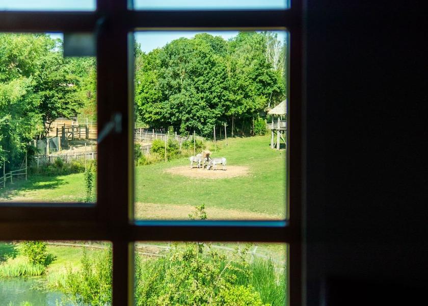 England Chessington View from room