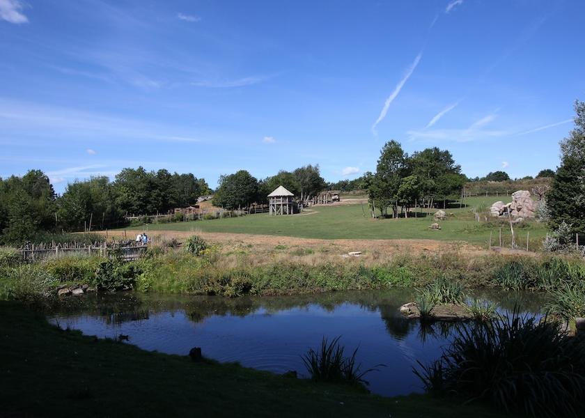 England Chessington View from property