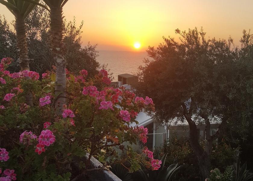 Campania Forio d'Ischia Garden