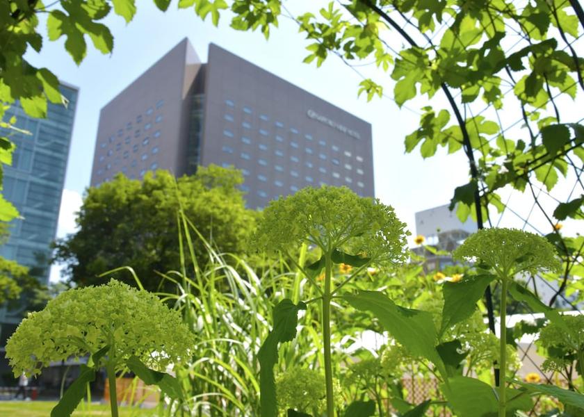 Hokkaido Sapporo Exterior Detail