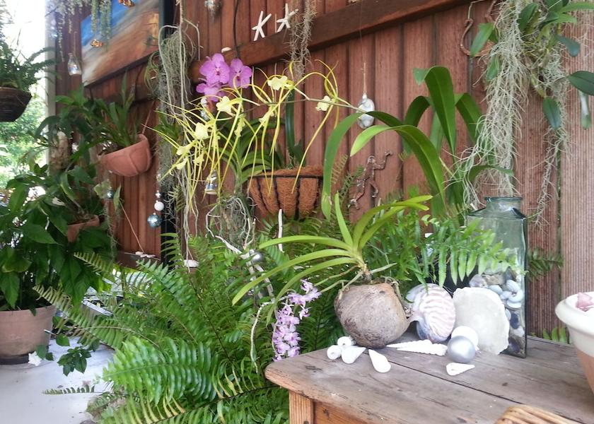 Queensland Clifton Beach Exterior Detail