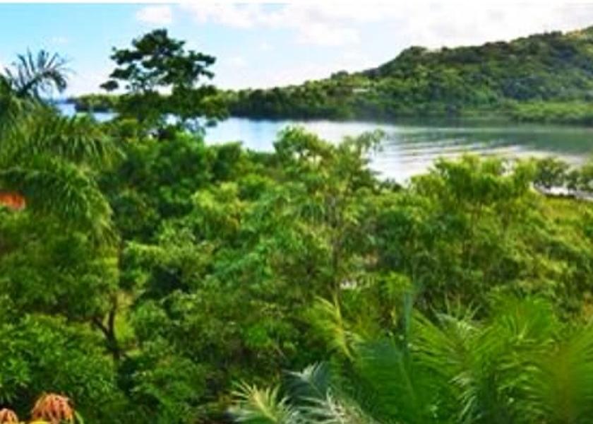 Portland Port Antonio View from property