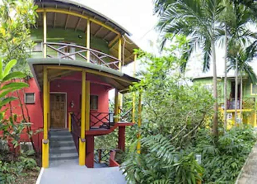  Port Antonio Primary image