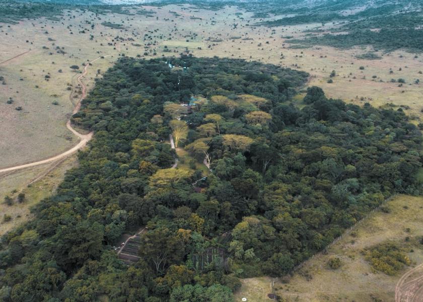  Masai Mara Aerial View