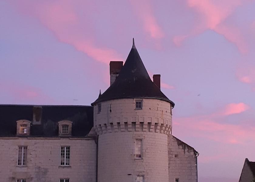 Centre - Loire Valley Marcay Facade
