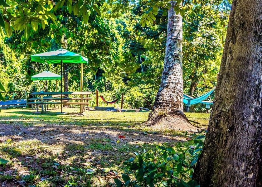 Queensland Bingil Bay Garden