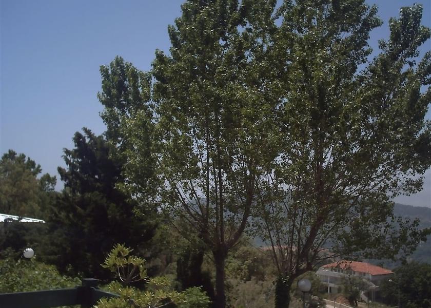  Ain Draham View from Property