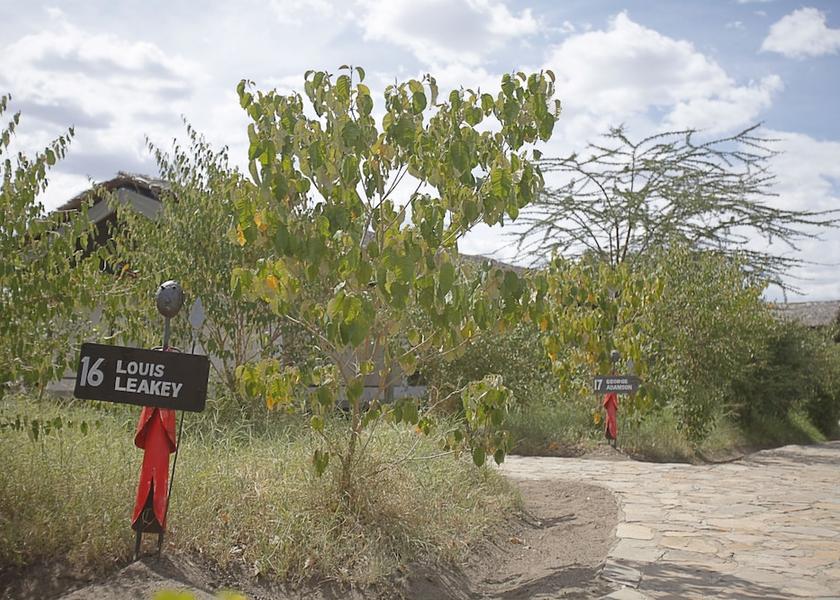  Masai Mara Exterior Detail