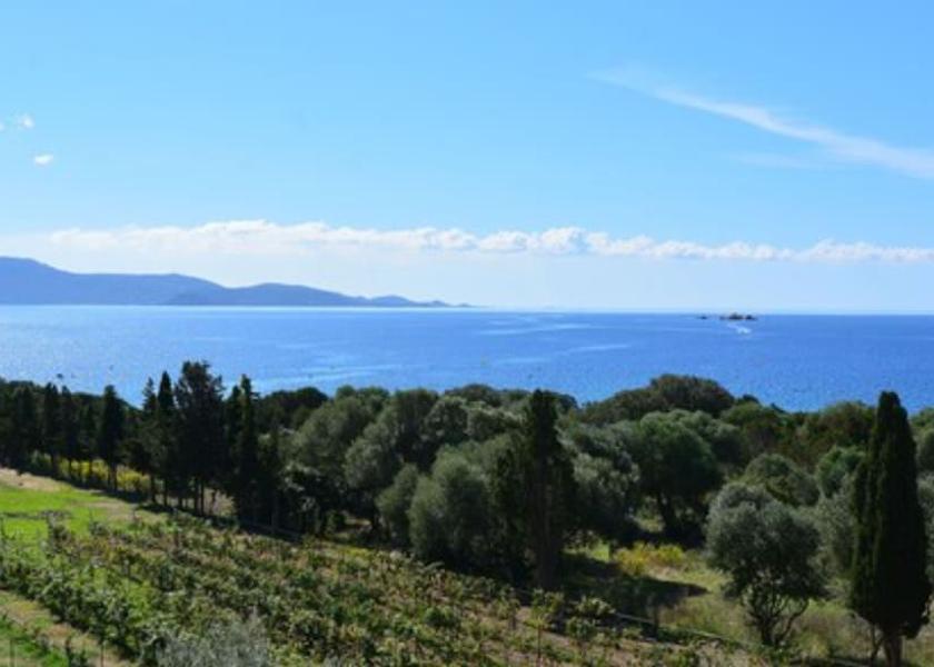 Corsica Serra-di-Ferro View from Property