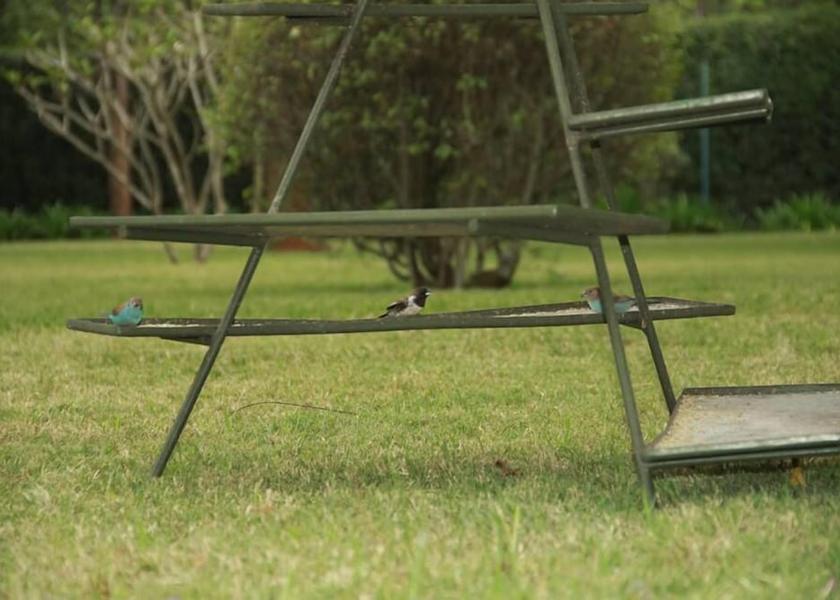  Nairobi Exterior Detail